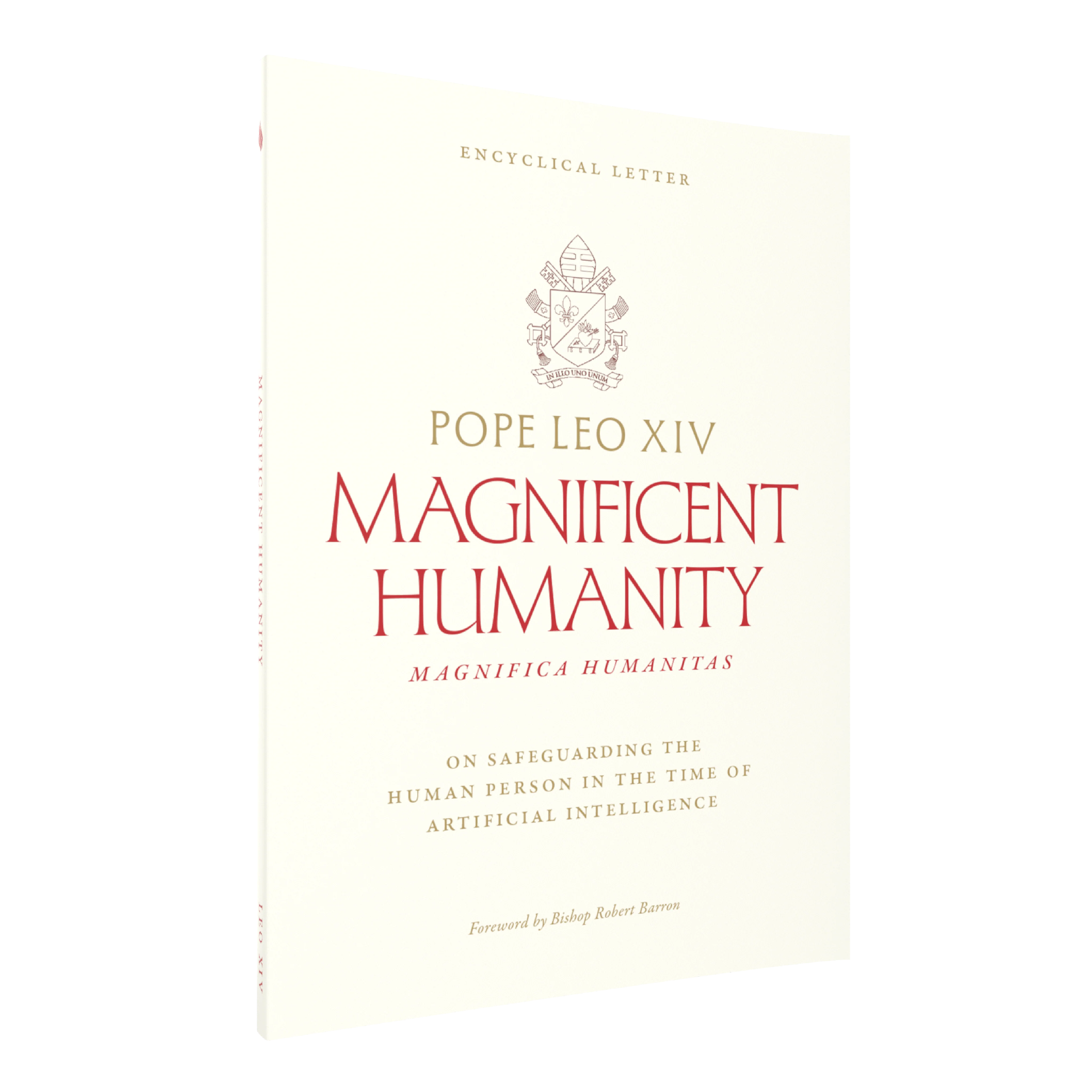 Magnifica Humanitas - Image 3