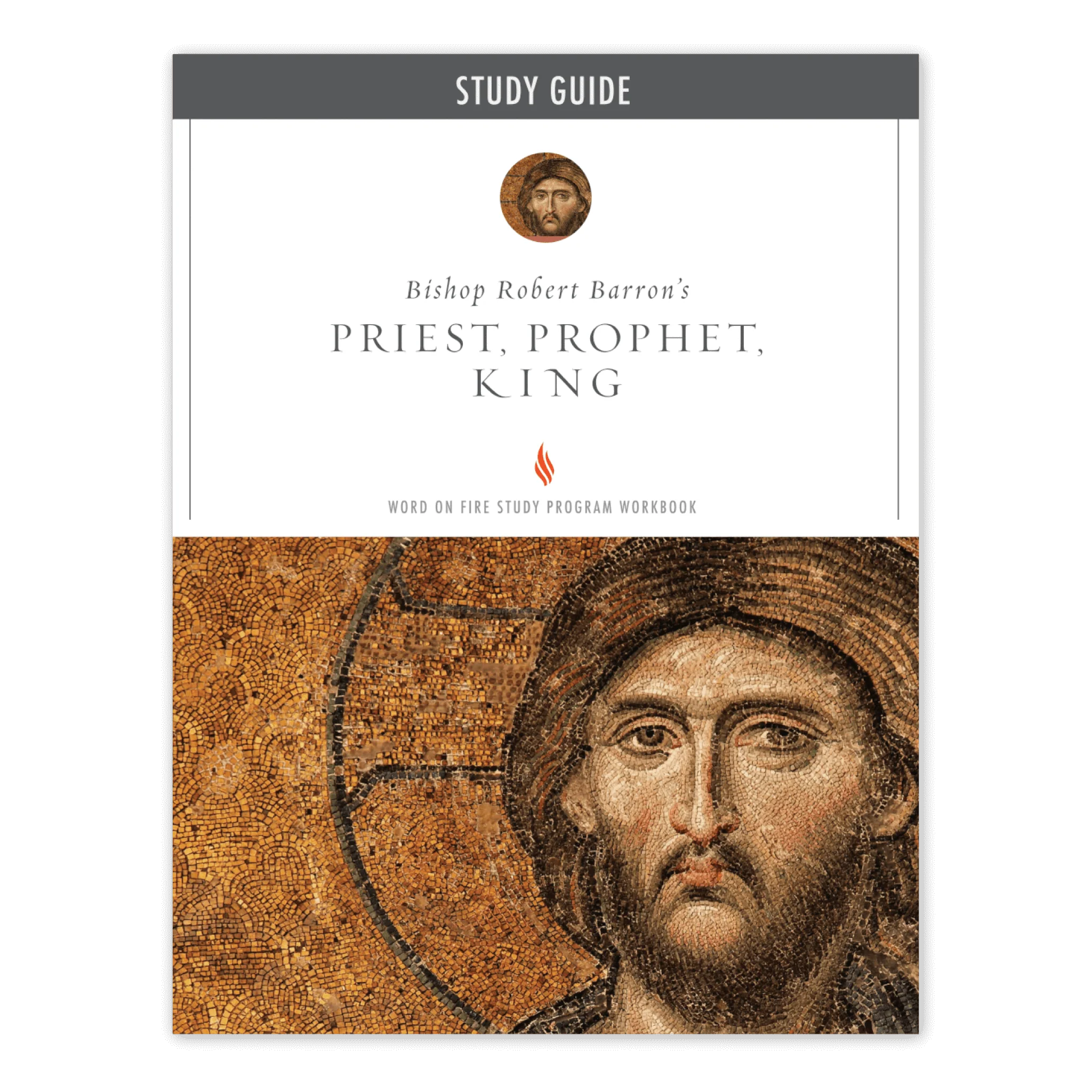 Priest, Prophet, King Study Guide