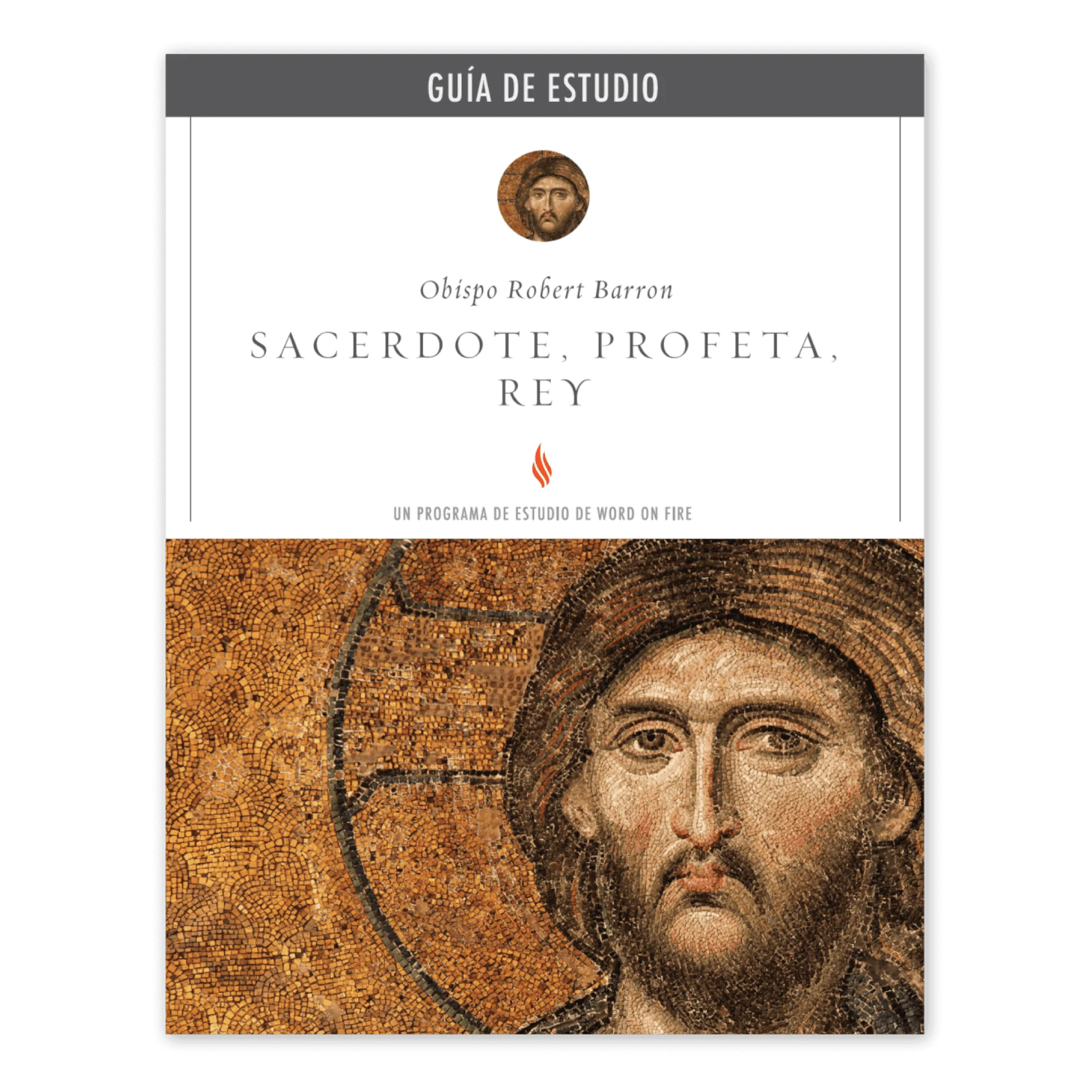 Sacerdote, Profeta, Rey GuĂa de Estudio