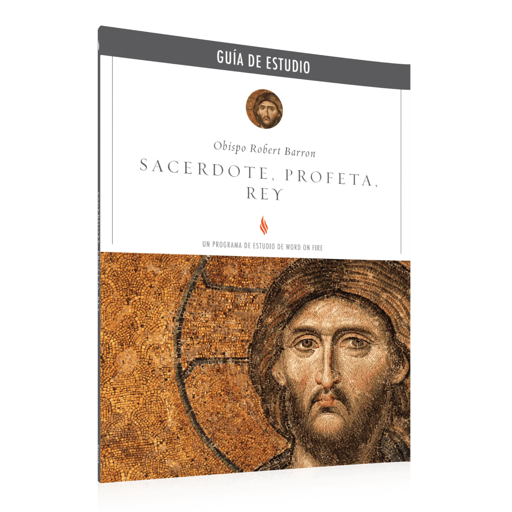 Sacerdote, Profeta, Rey GuĂa de Estudio - Image 2