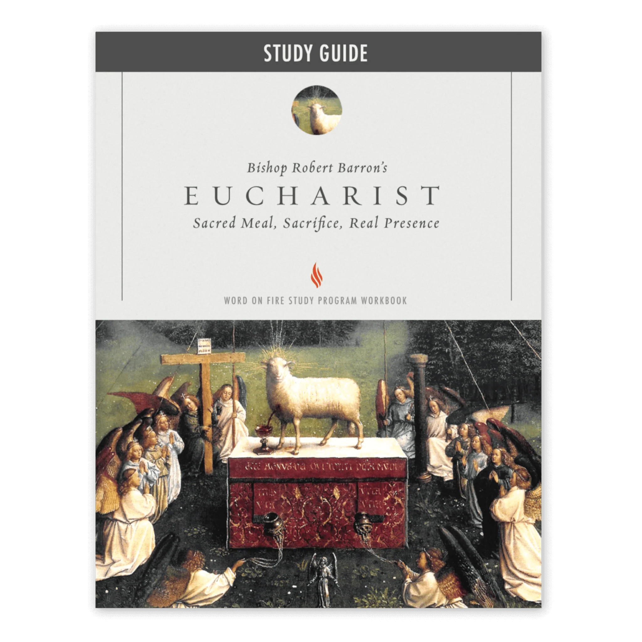 Eucharist Study Guide