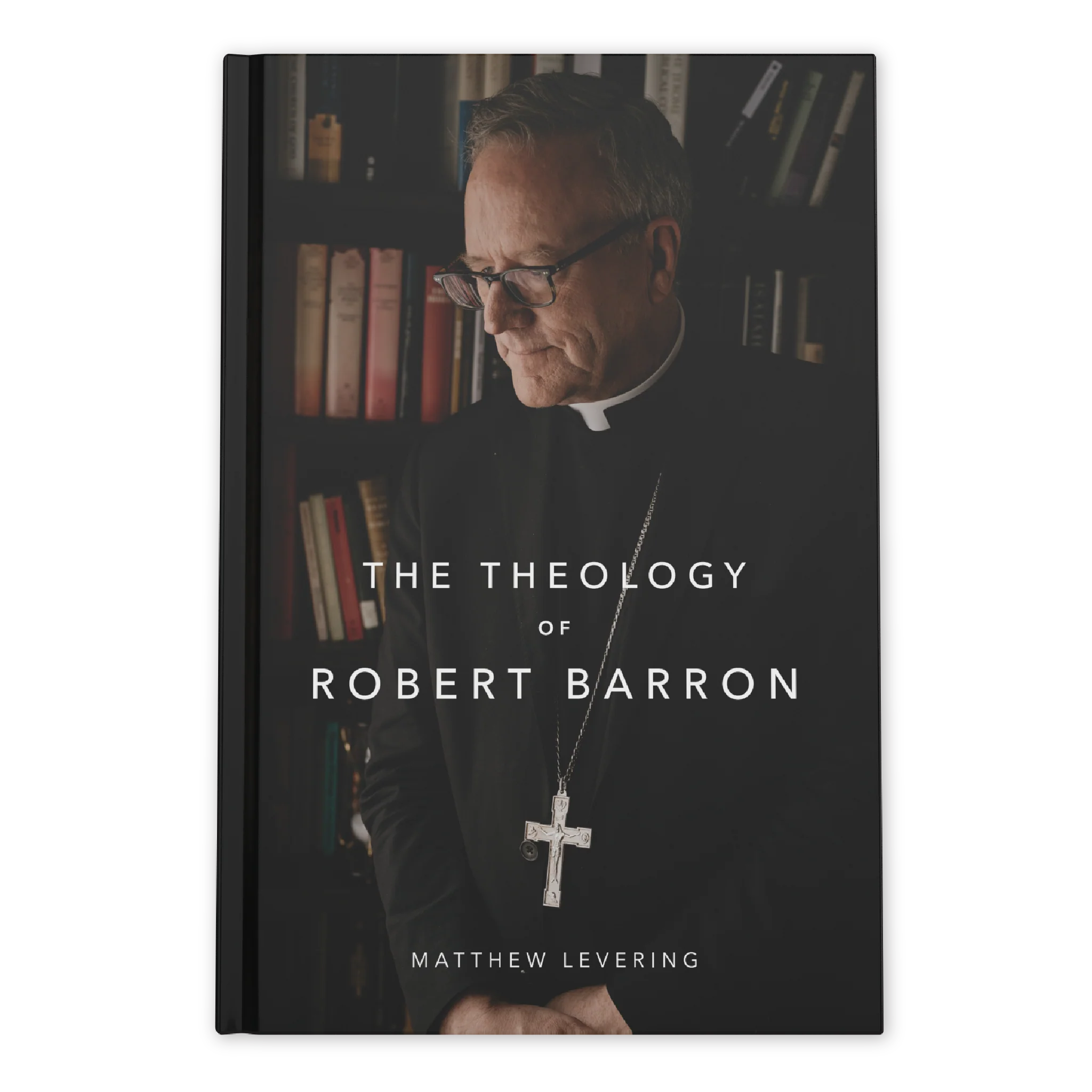 The Theology of Robert Barron