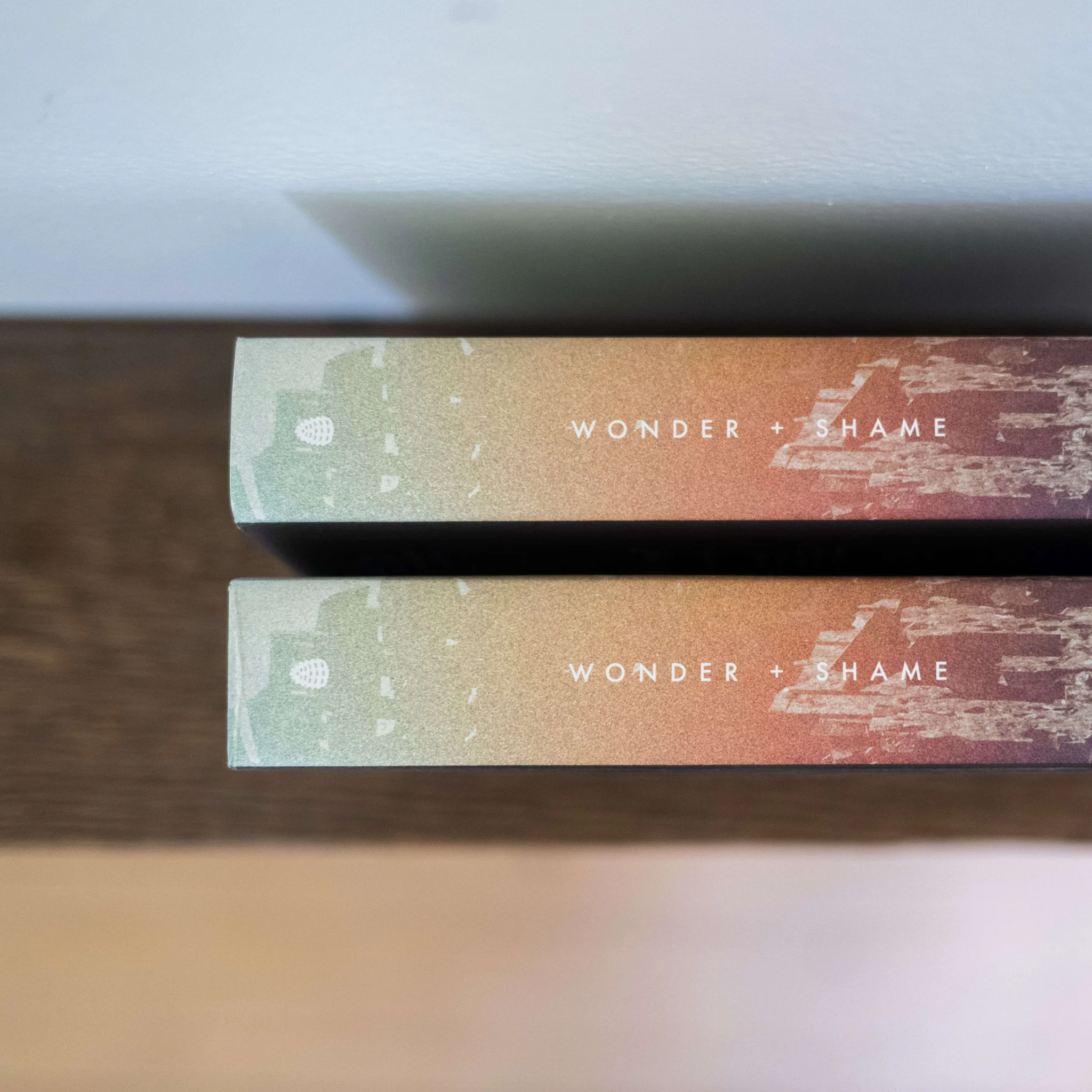 Wonder and Shame - Image 4